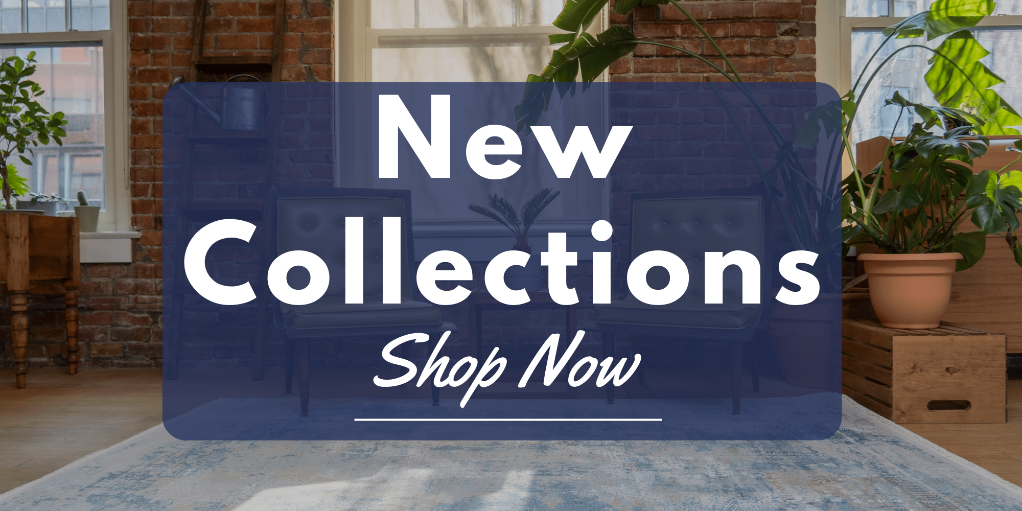 Shop New Collections Today!
