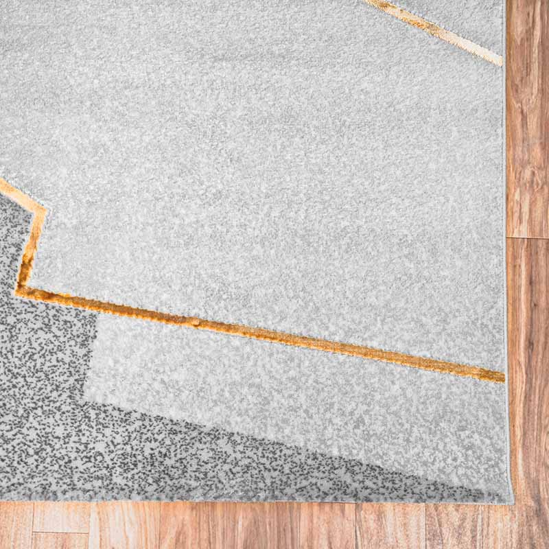 Biscotti Modern Grey and Gold Area Rug 5 therugsoutlet.ca